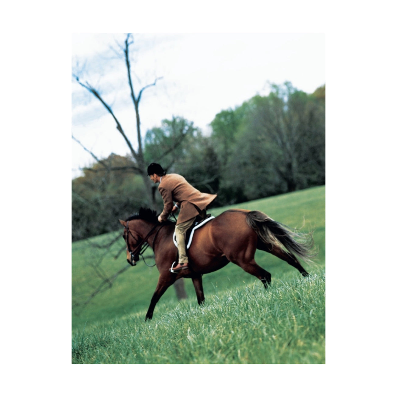 Ralph Lauren A Way of Living: Home, Design, Inspiration