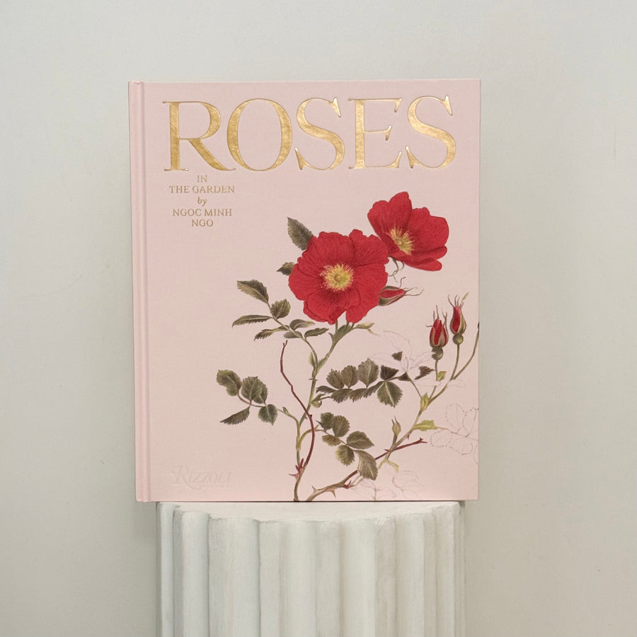 Roses in the garden