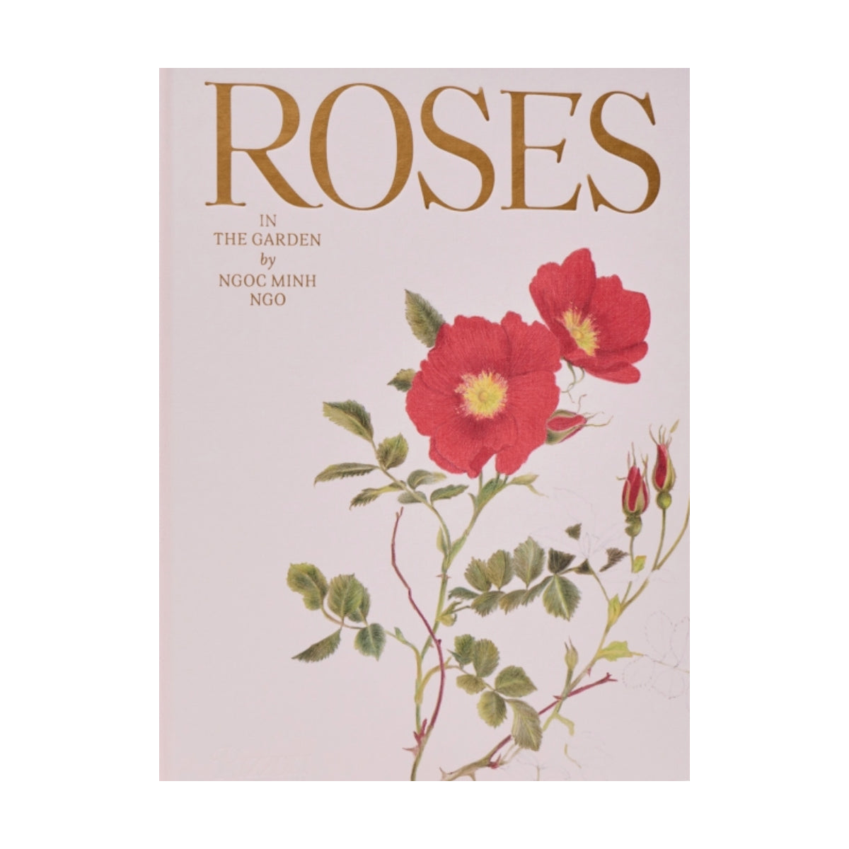 Roses in the garden