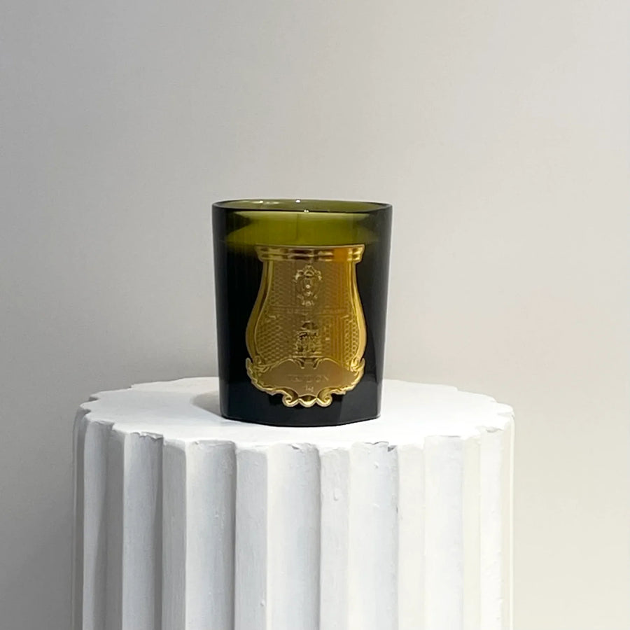Vela Solis Rex. Trudon